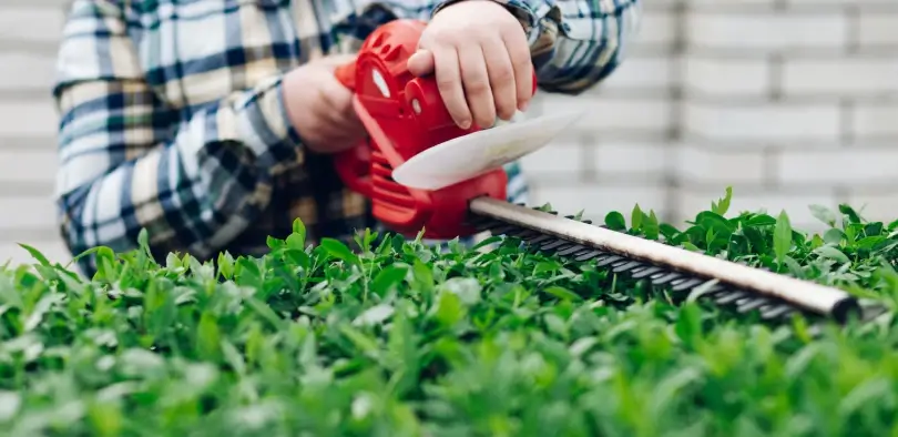 Landscaping-Equipment-image