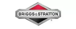 briggs stratton